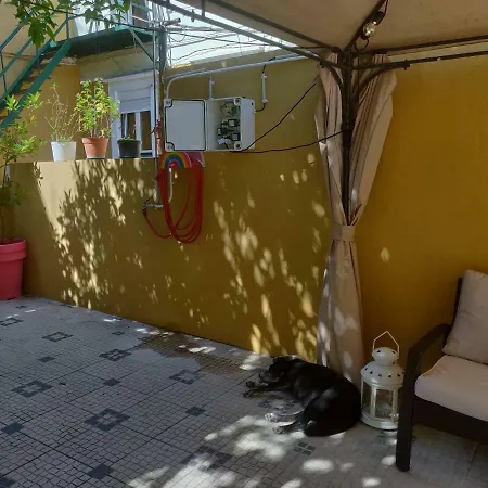 Sunny Studio C With Large Garden *